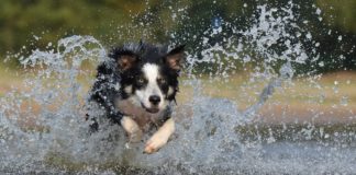 Harness The Magic Of Stop Motion Animation With These Cool Tips